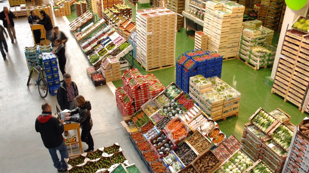 Avrupa Birliği'nden Tek Kullanımlık Plastik Ambalajlara Kapsamlı Yasak Geliyor