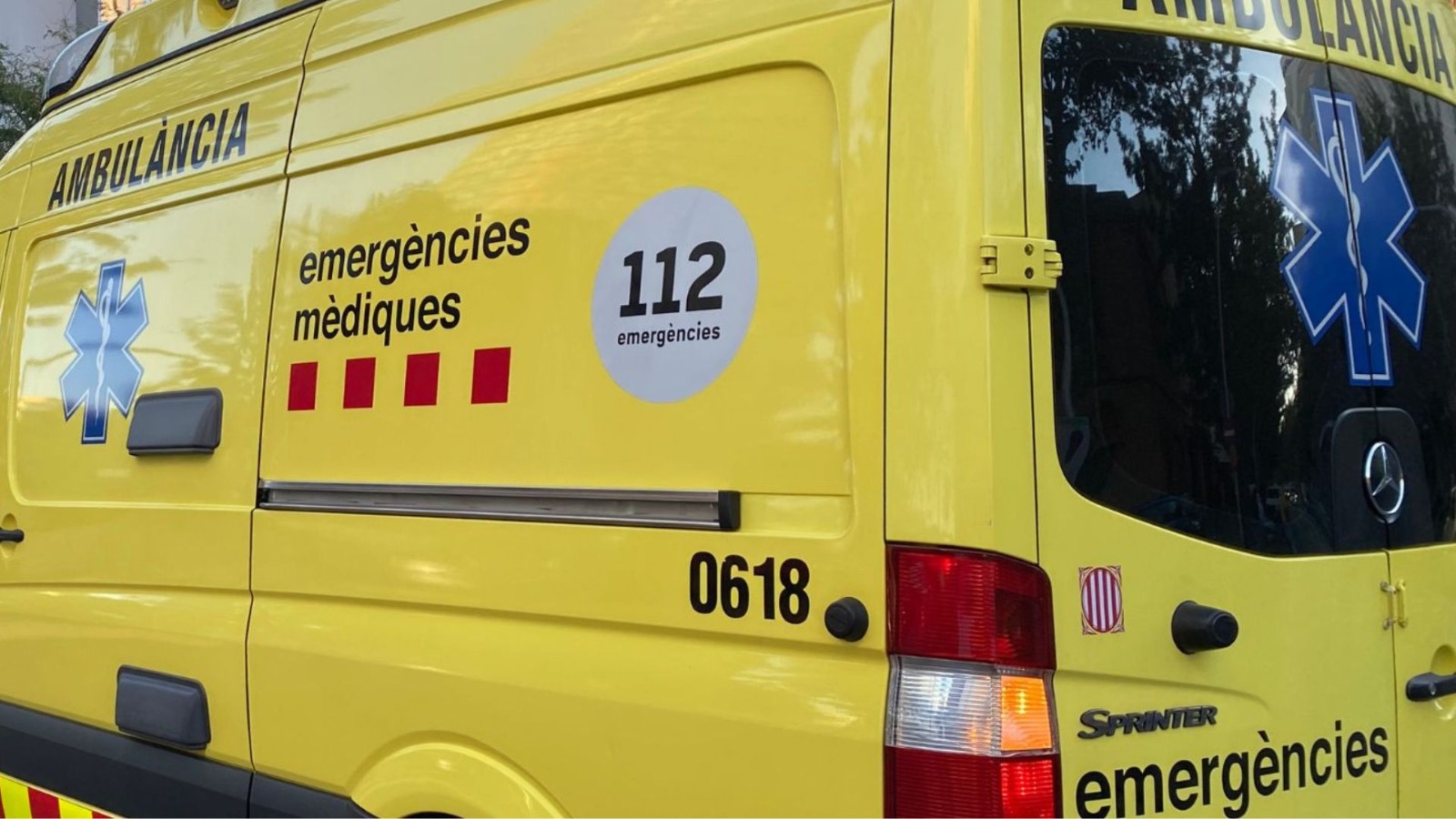 Katalonya'da Karaca Çarpışması Kurbanı 68 Yaşındaki Motorcu Hayatını Kaybetti