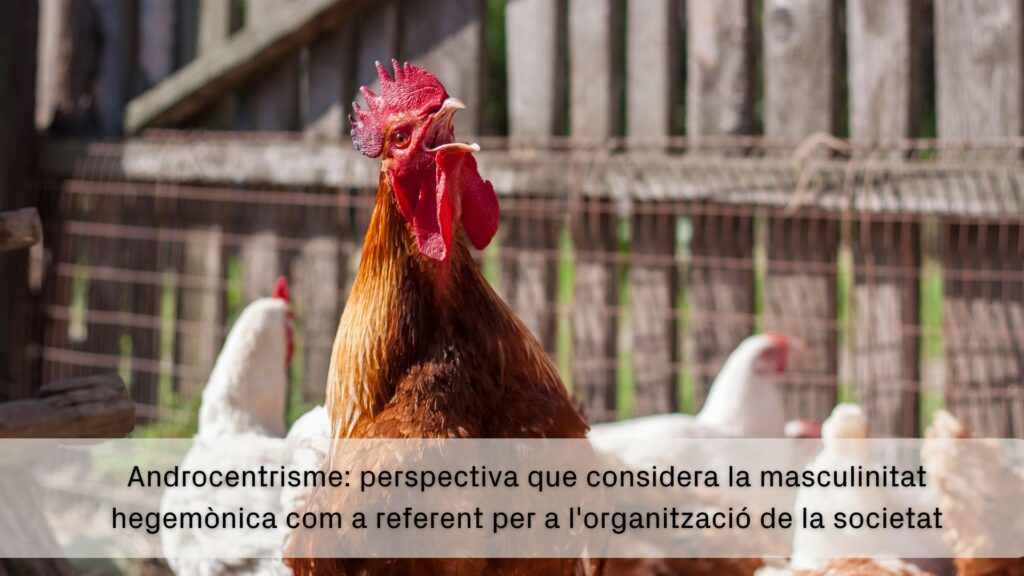 # Barselona'dan Feminizme Mor Sözlük: Ayrımcılığa Karşı Mücadele