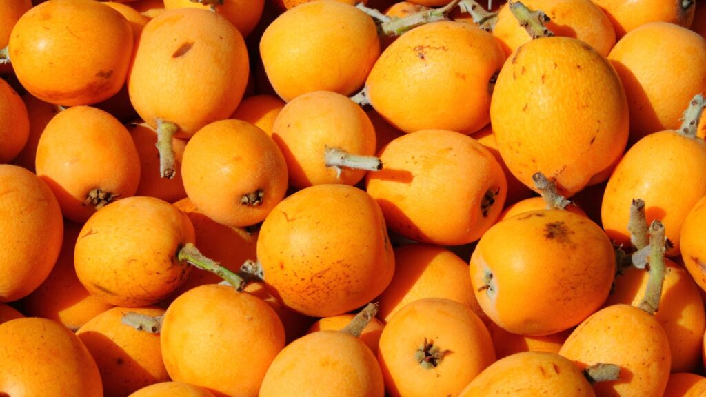 Barselona'dan Bahar Müjdesi: Mercabarna Mart Ayı Sezonluk Ürünlerini Açıkladı