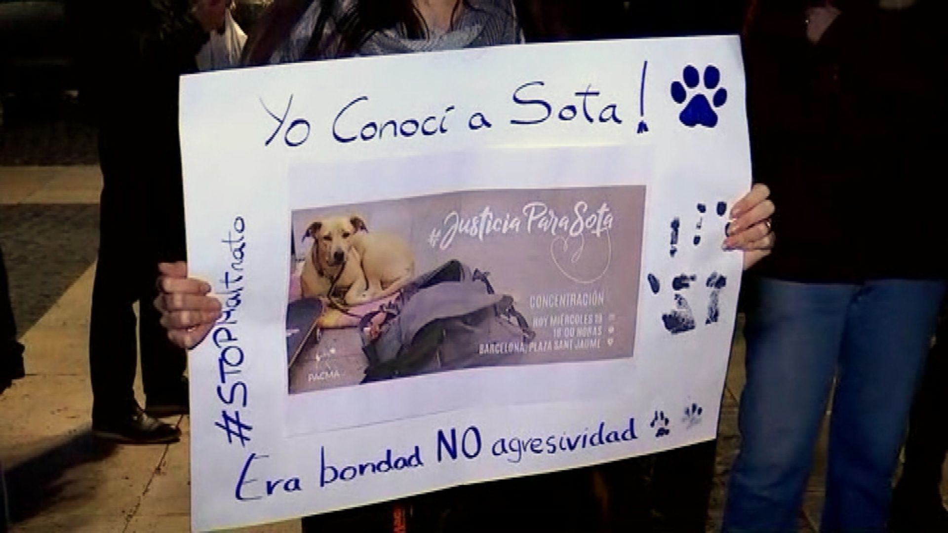 Barselona'da "Sota" Davası Uzlaşmayla Sonuçlandı: Polis ve Köpek Sahibi Anlaştı