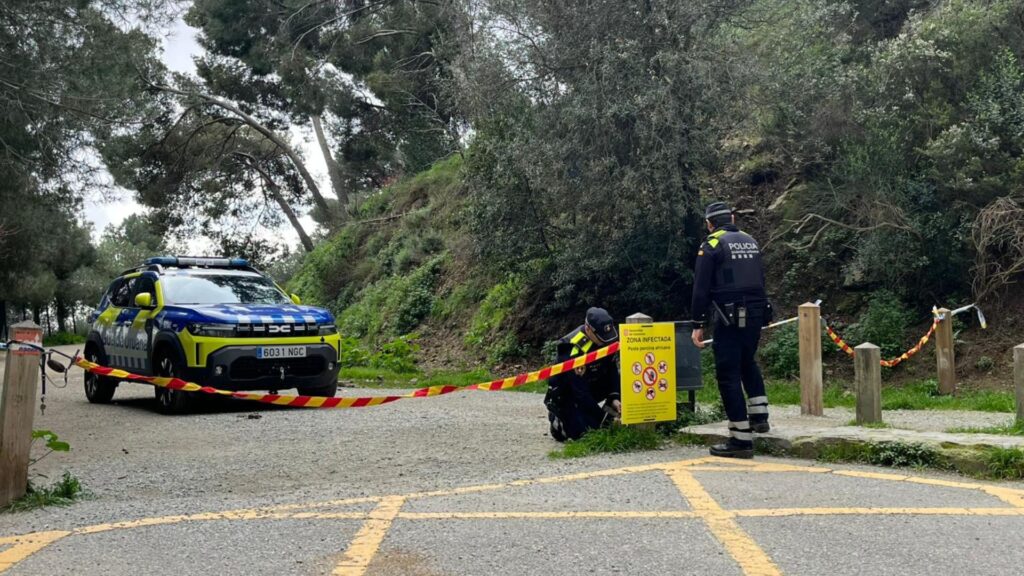 Collserola Park'ta Ziyaretçi Sayısı %90 Düştü: Barselona Halkı Kısıtlamalara Uyuyor