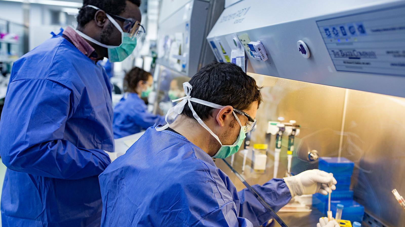 HIV Tedavisinde Yeni Bir Umut: Kardeşinden Nakille İyileşen Oslo Hastası