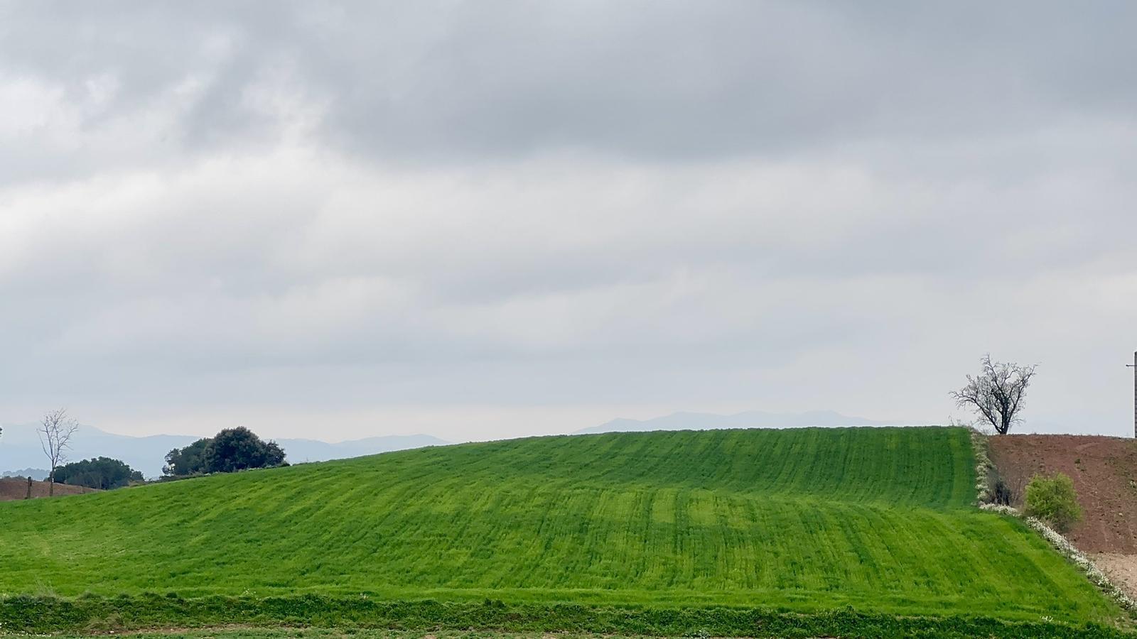 Barselona'da Bahar Karışık Başlıyor: Toz Bulutu ve Yağış Bekleniyor