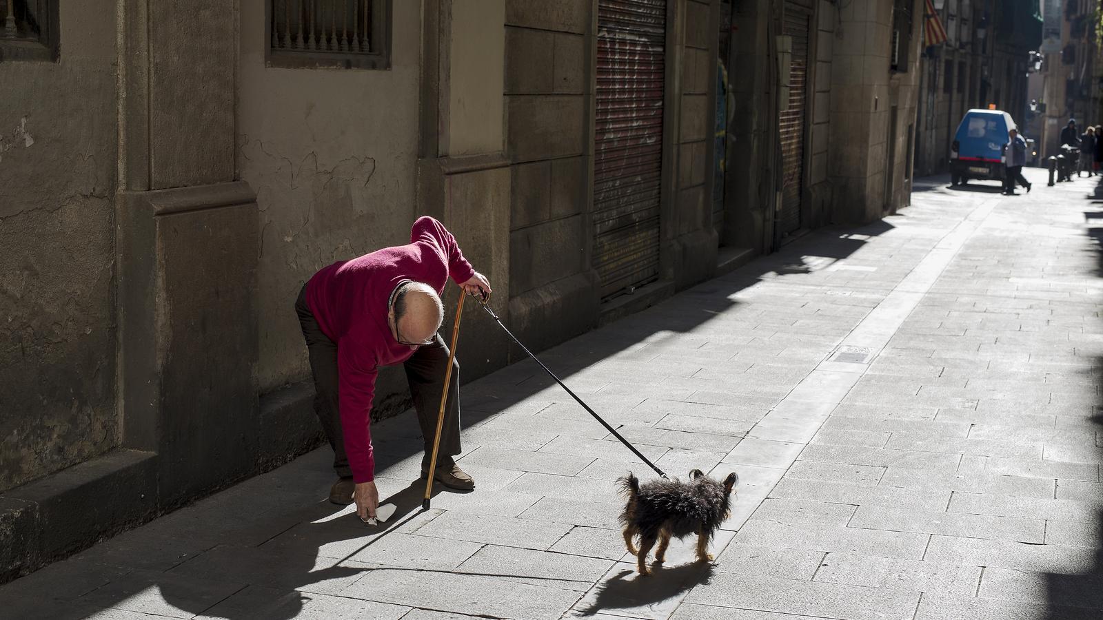 Barselona'da Sokaklarda Tehlike: Köpekler Uyuşturucu Zehirlenmesi Mağduru Oluyor