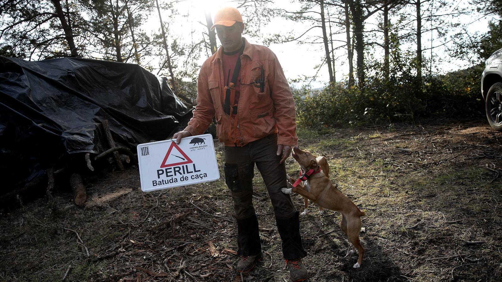 Katalonya'da Afrika Domuz Vebası Alarmları Yükseliyor: Barselona'ya Sıçradı!