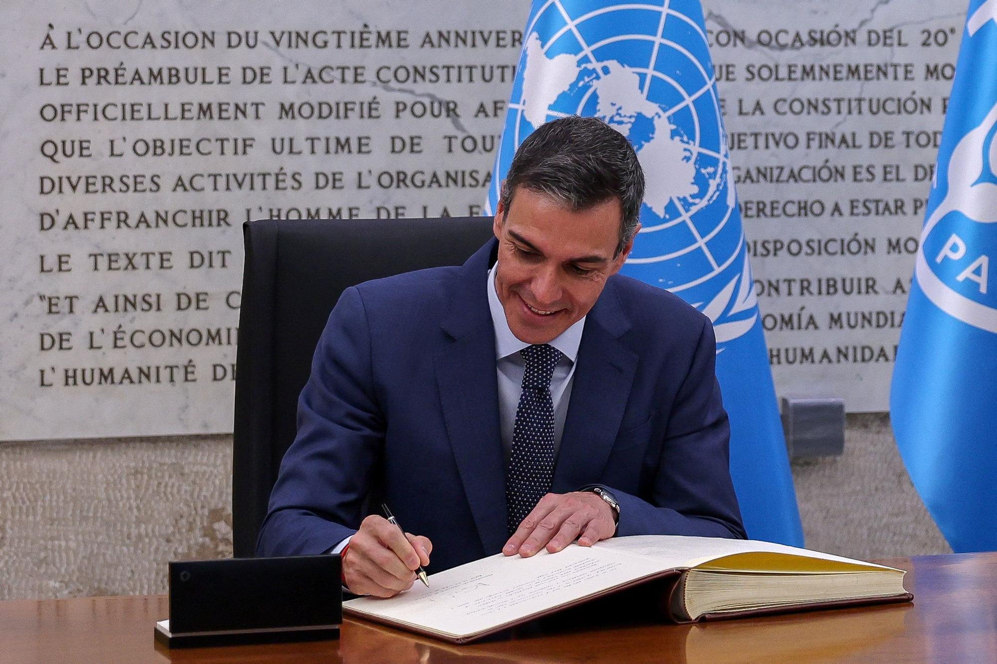 Sánchez'den FAO Genel Direktörlüğü İçin Planas'a Tam Destek
