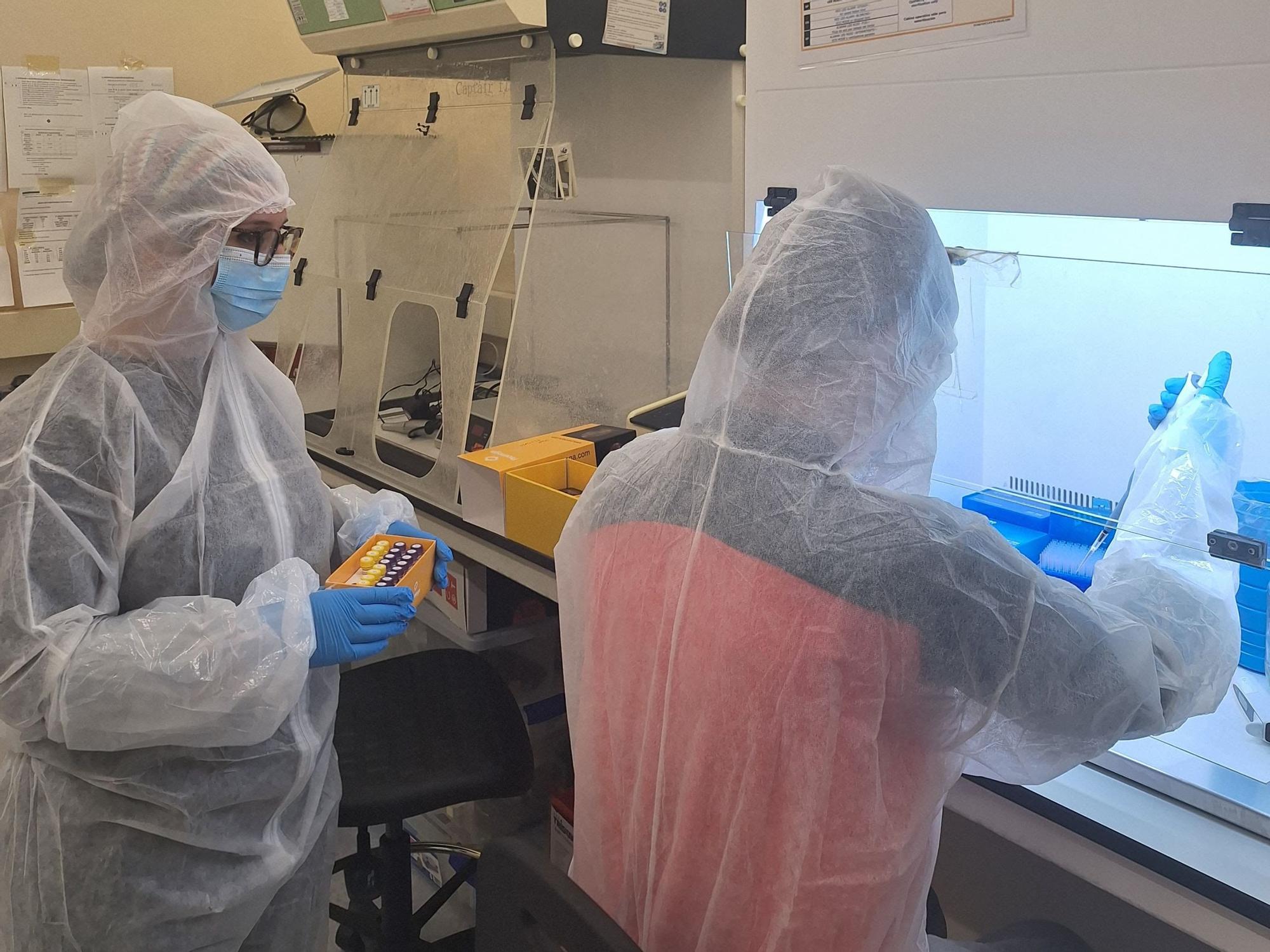 Tàrrega Katliamı Kurbanlarının DNA'sı, Sefarad Kökenlerini Aydınlatıyor