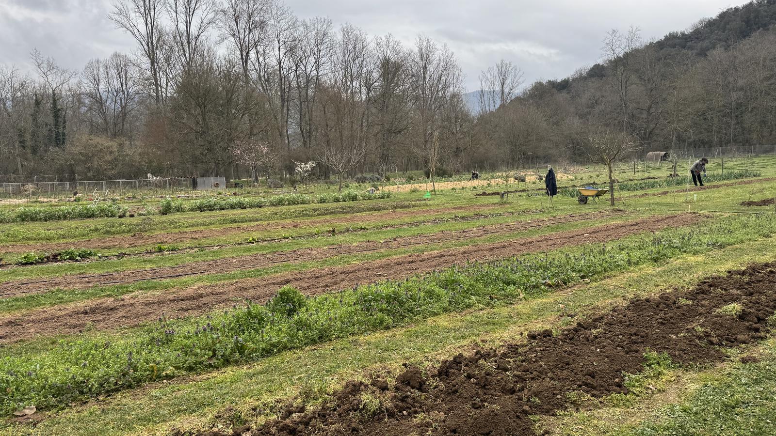 Les Cols: Garrotxa'nın Lezzeti ve Zihinsel Refah Sunan Bir Gastronomi Rüyası
