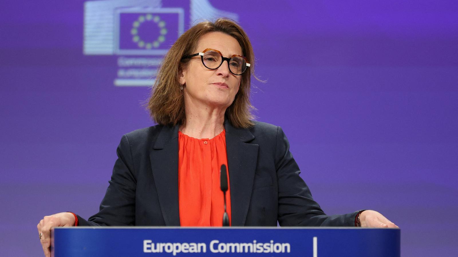 AB'den Enerji Krizine Yeni Plan: Esnek Destekler ve Koordineli Alım, Rüzgar Gülü