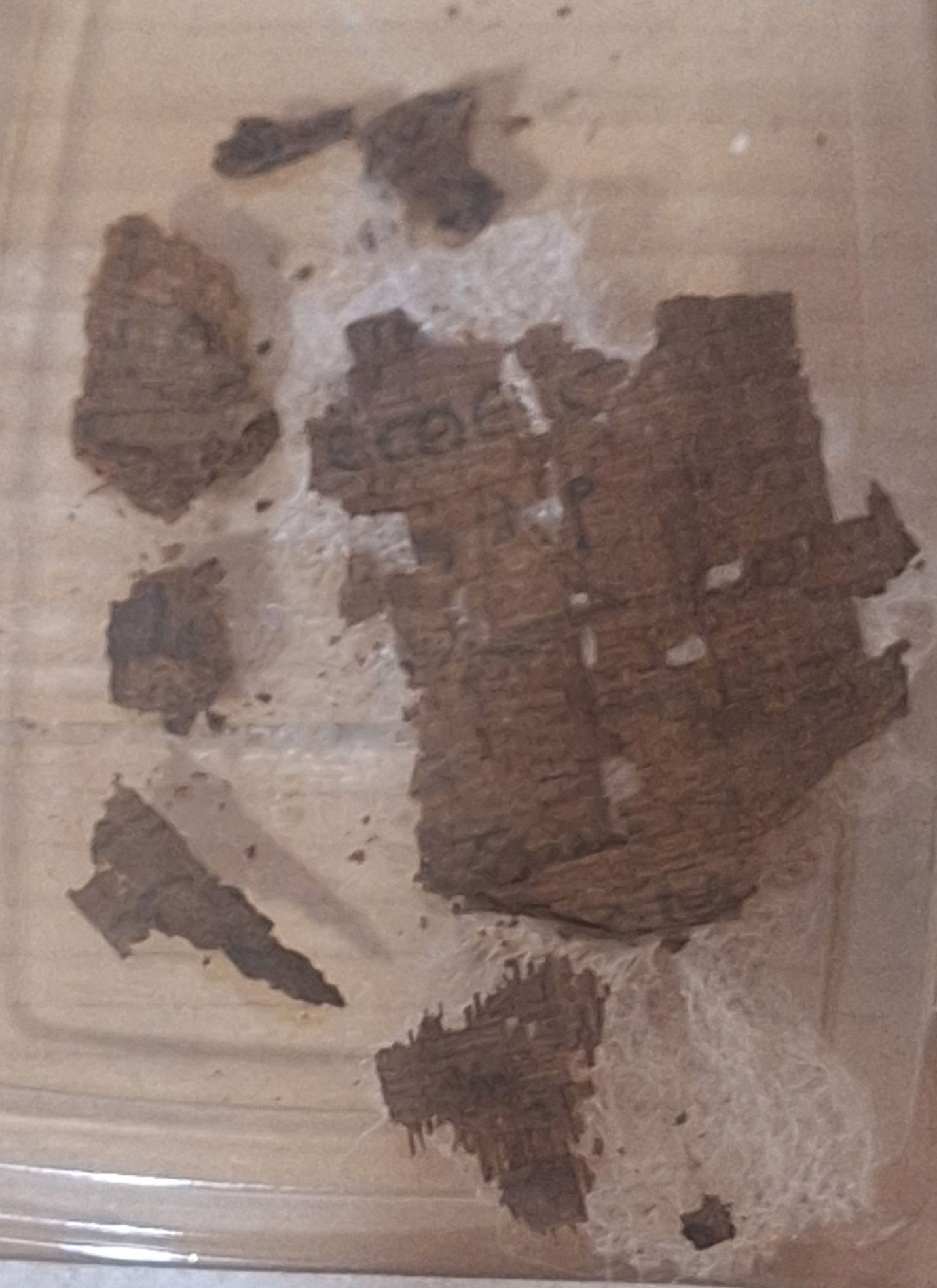 Mısır'da Şaşırtıcı Keşif: Mumyanın Karnında Homeros'un 'İlyada'sı Ortaya Çıktı