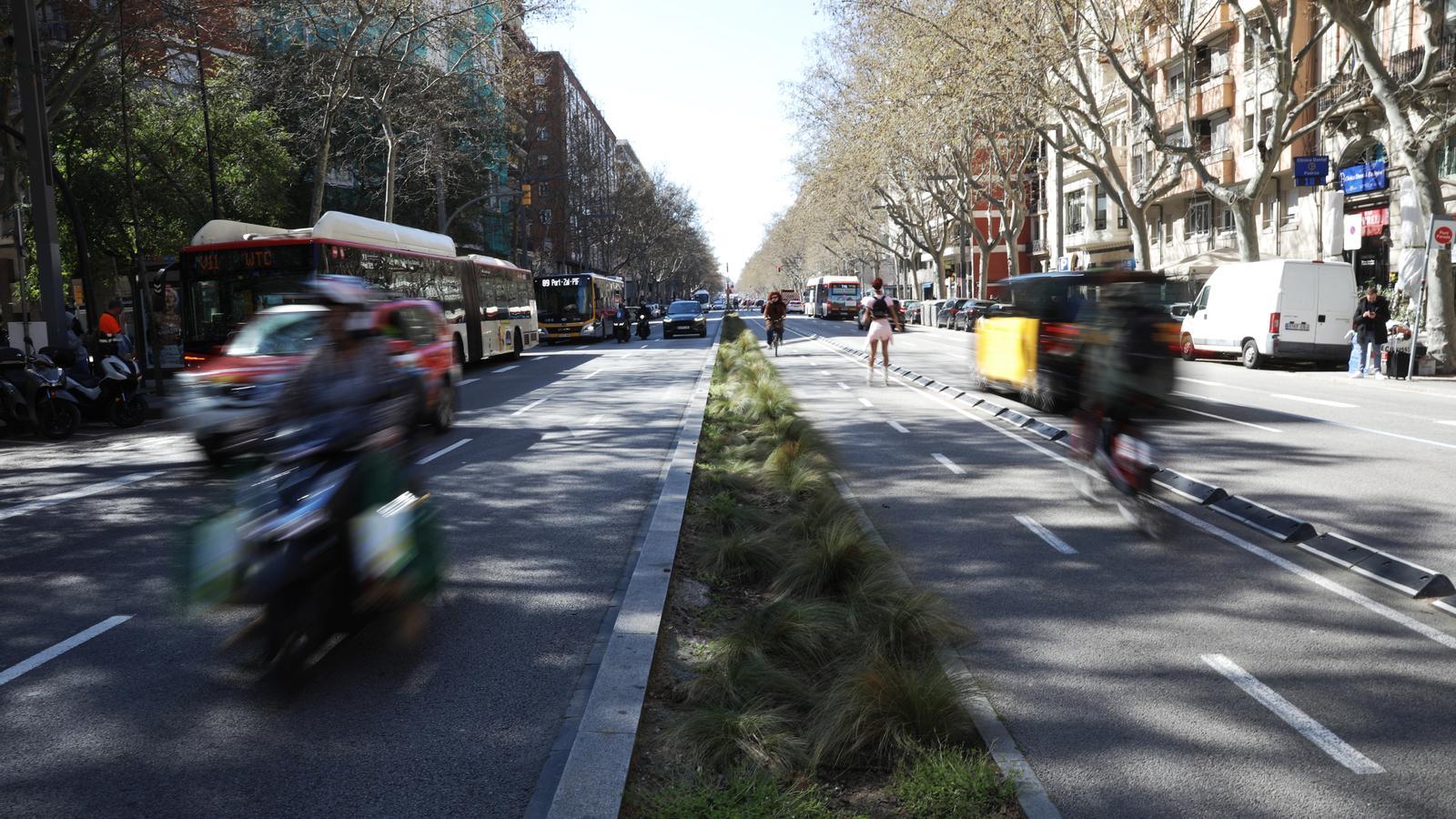 Barselona, Tarihi Paral·lel Caddesi'ni Sakinlerine Yeniden Kazandırıyor