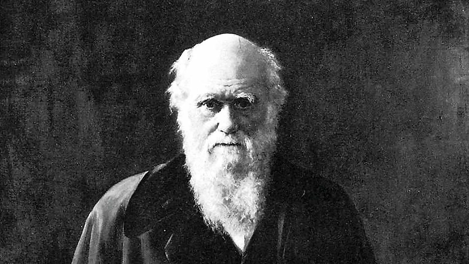 Darwin'in Bitkilerin Gizemli Hareket Dünyası: Barselona'dan Tarihi Bir Bakış