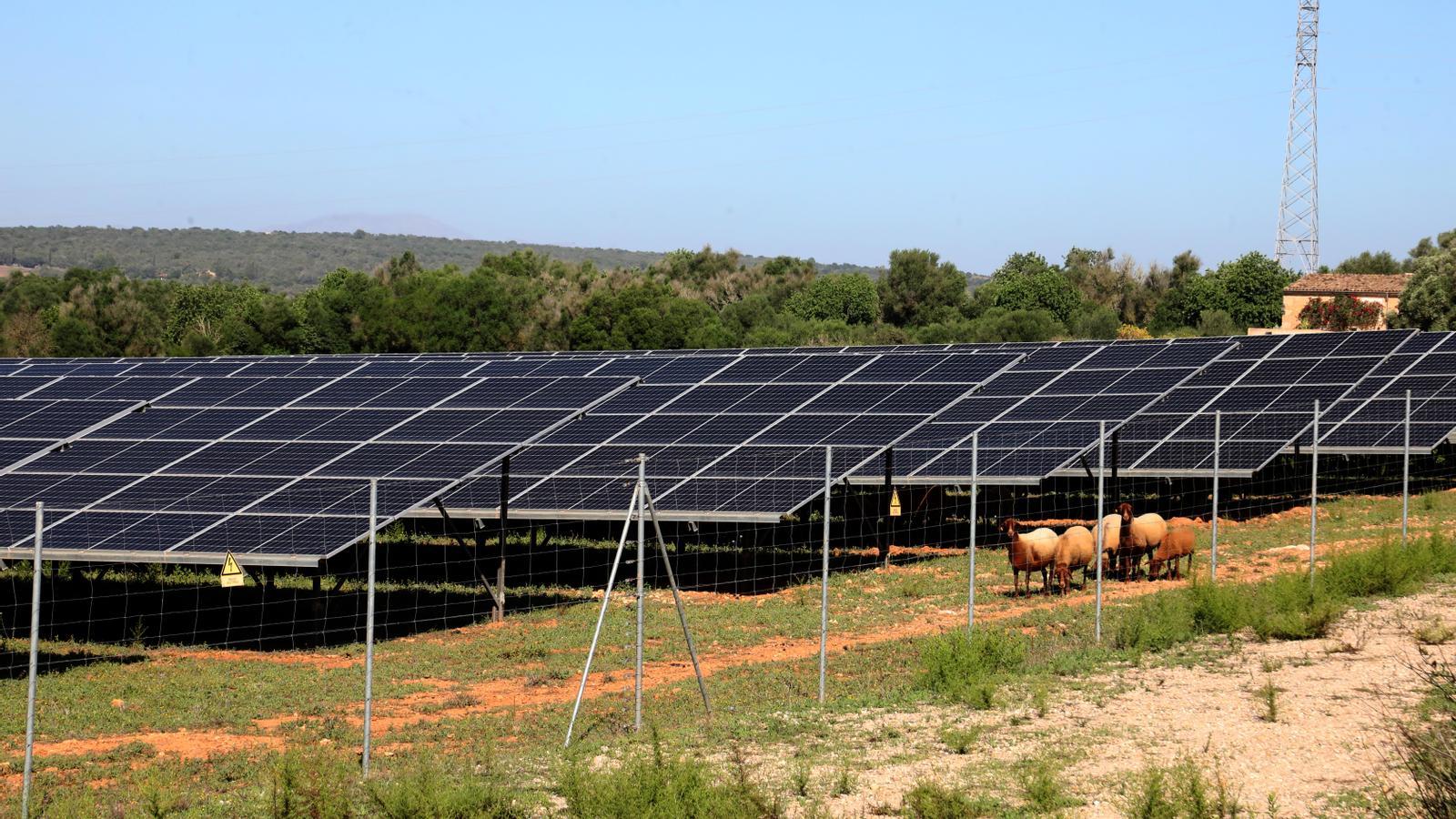 Balear Adaları'nın Güneş Enerjisi Dönüşümünde Yerel Yatırımcıların Rolü Büyüyor