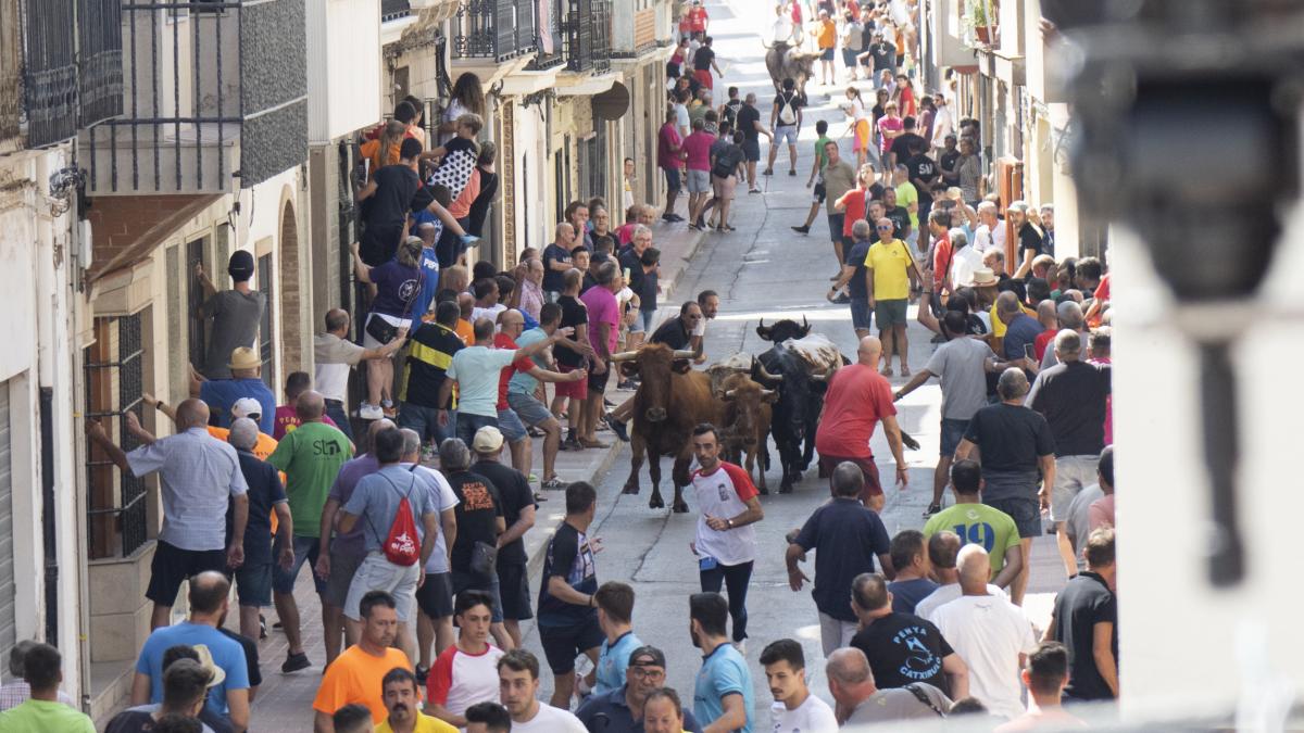 Vilavella'da Boğa Koşusu Festivalinde Feci Kaza: 80 Yaşındaki Adam Hayatını Kaybetti