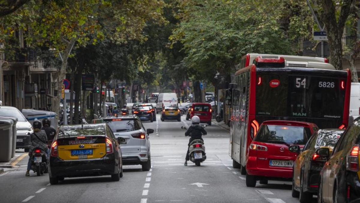 Barselona'da Yaya Güvenliği Alarmı: 83 Yaşındaki Kadın Kazada Hayatını Kaybetti