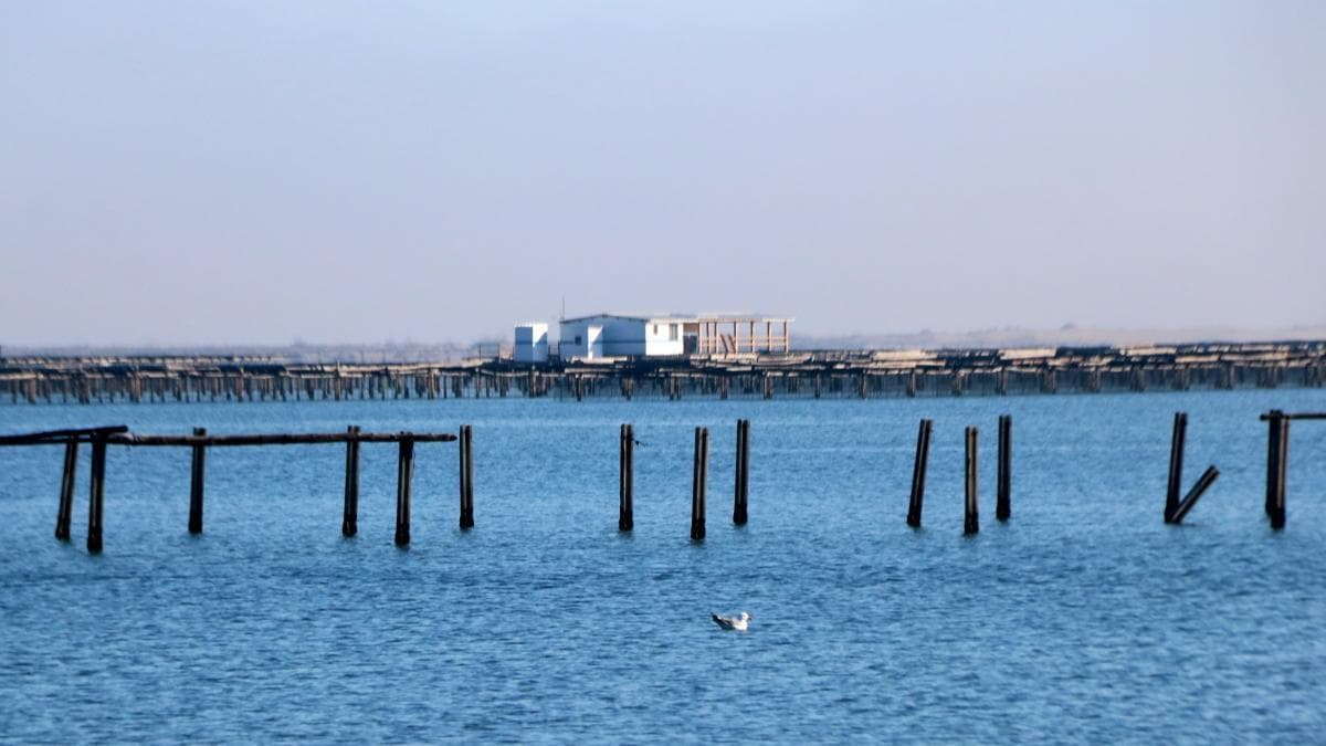 Ebro Deltası'nda Fırtına Felaketi: Midye ve Çeltik Üreticileri Yardım 