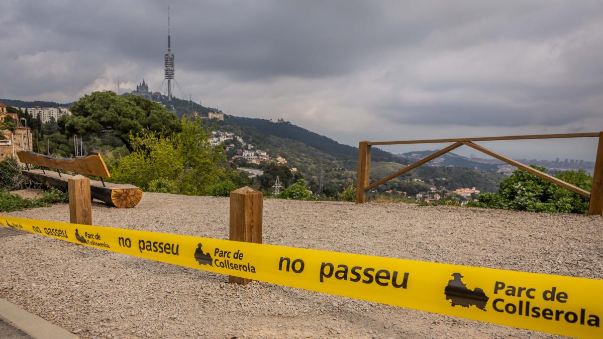 Barselona'da Domuz Vebası Tehdidi: Collserola Esnafına Acil Yardım Planı Devrede