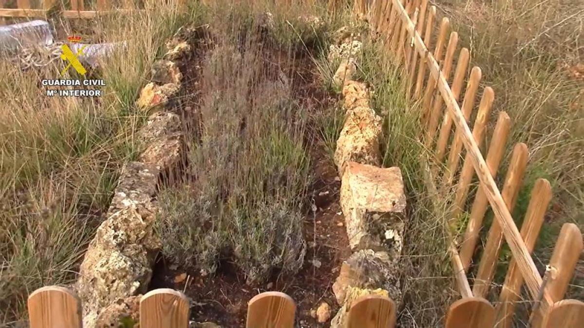 Barselona'da Emsal Karar: Katledilen Kadının Ailesini Reddeden Vasiyeti Tazminatı