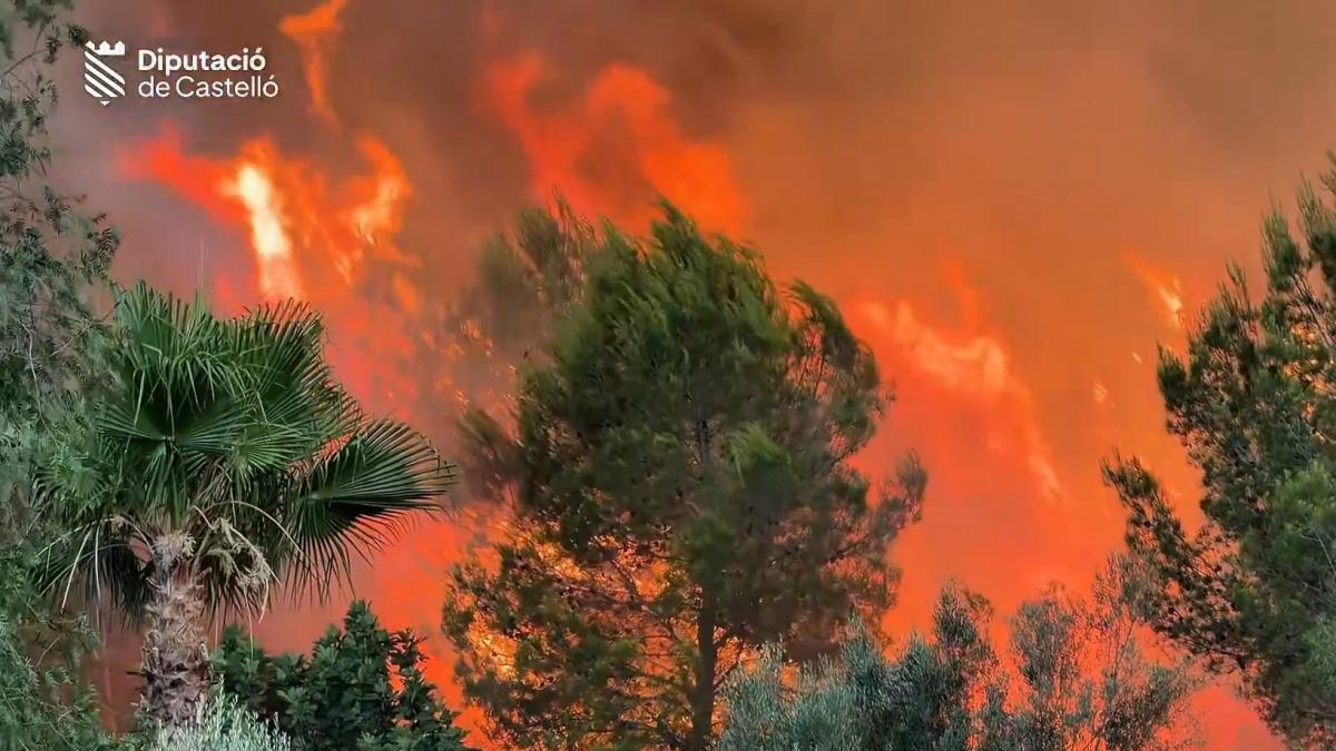 Castellón'da Büyük Orman Yangını: Sóneja'da Olumsuz Seyir, 10 Hava Aracı Seferber Edildi