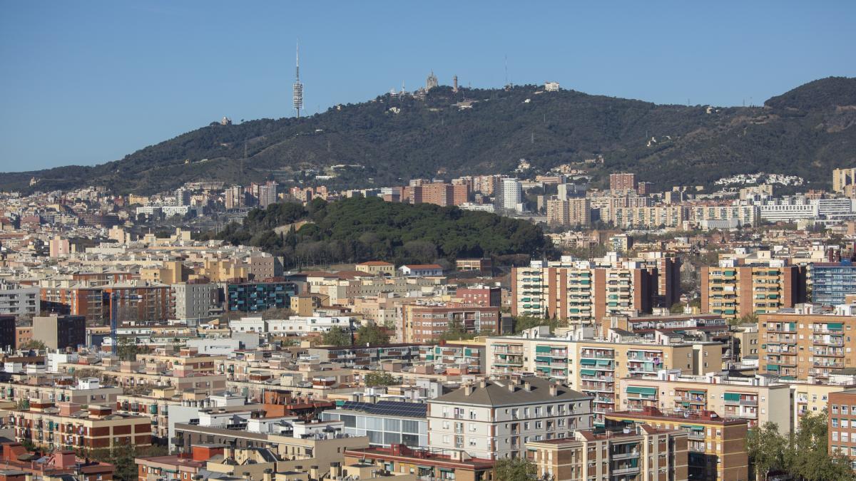 Barselona'da Mahalle Kimliği Tartışması: Halk 'Verdum Kuşu'nu Seçti