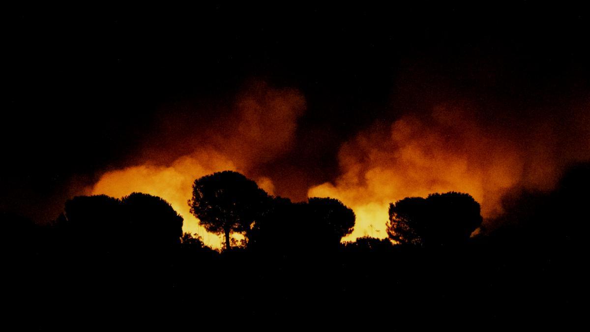 Huelva'daki Niebla Yangını: 8.000 Hektarlık Alanı Tehdit Ediyor, Endülüs Alarmda