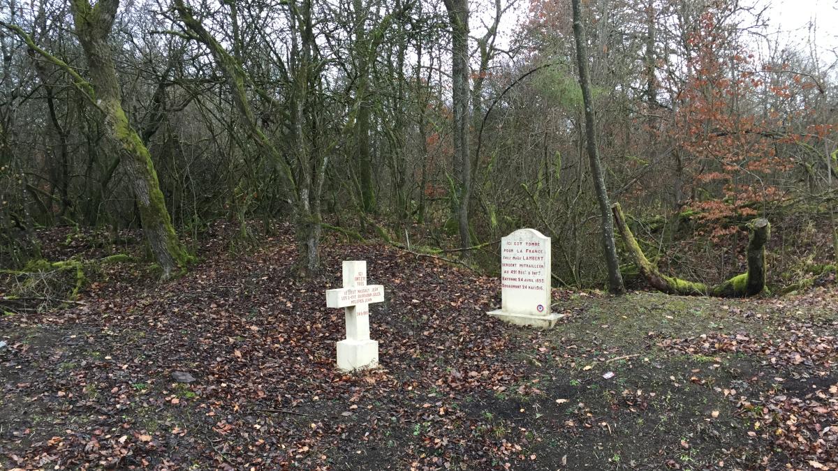 Verdun Cehennemi: İnsan Kıskacının Aşısı Neden Tutmadı?
