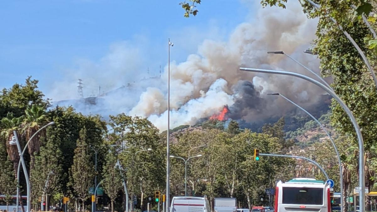 Collserola'da Yangın Alarmı: Barselona'nın Yeşil Akciğerleri Tehdit Altında