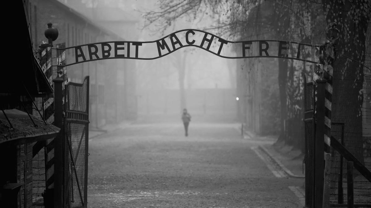 Auschwitz'e Yolculuk: İnsanlık Tarihinin Kara Lekesiyle Yüzleşme