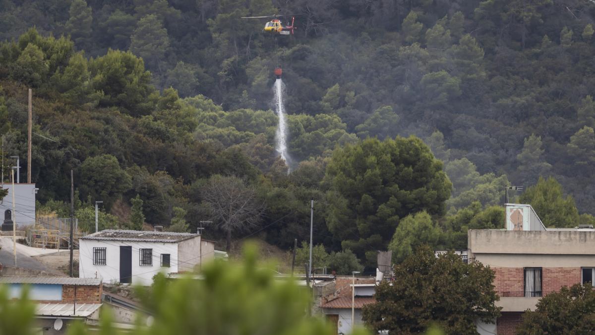 Barselona Collserola Yangını: Başlangıç Noktasında Çakmak ve Sigara İzmariti Bulundu