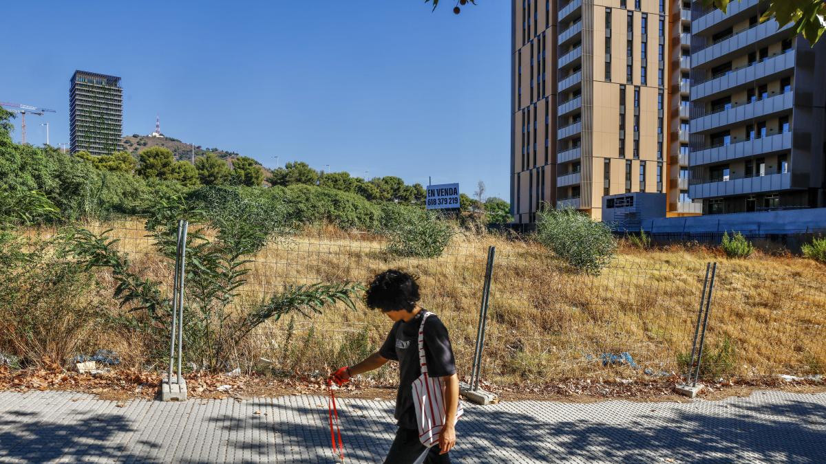 Esplugues, Üniversite Şehri Olmaya Hazırlanıyor: UB'nin Yeni Eczacılık Fakültesi Geliyor