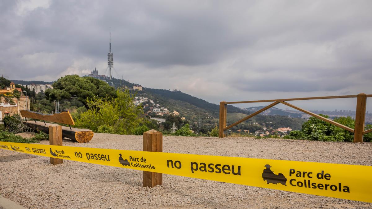 Barselona'nın Akciğeri Collserola İçin Yeniden Açılma Çağrısı: Domuz Vebası Gölgesinde