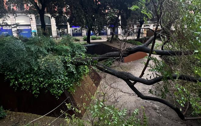 Barselona'da Regina Fırtınası: Tarihi Mahallede Dev Ağaç Devrildi