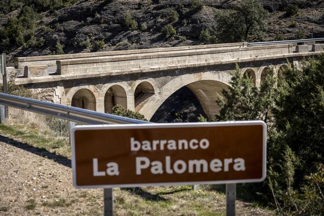 İspanya'da Kan Donduran Cinayet: Huesca Katili, Kurbanın Amcasından Yüz Binlerce Euro