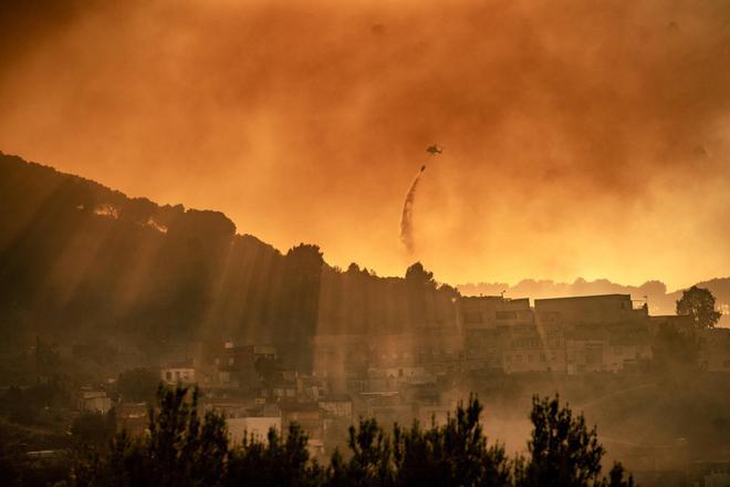 Collserola Yangını Soruşturmasında Şüpheli: Konteyner Yakmaktan Tutuklu Bir İsim Gündemde