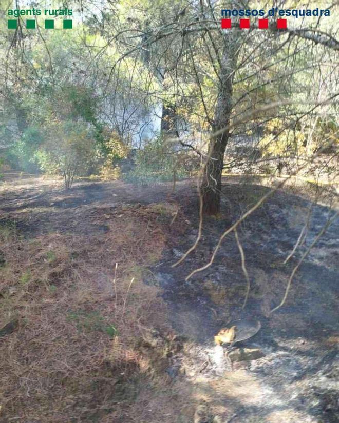 Katalonya'da Orman Yangını Şoku: Kundakçı Kadın Yakalandı, Bölge Alarmda