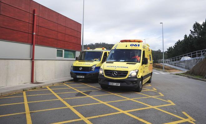 Pontevedra'da Ağaç Keserken Feci Kaza: Bir Kişi Hayatını Kaybetti