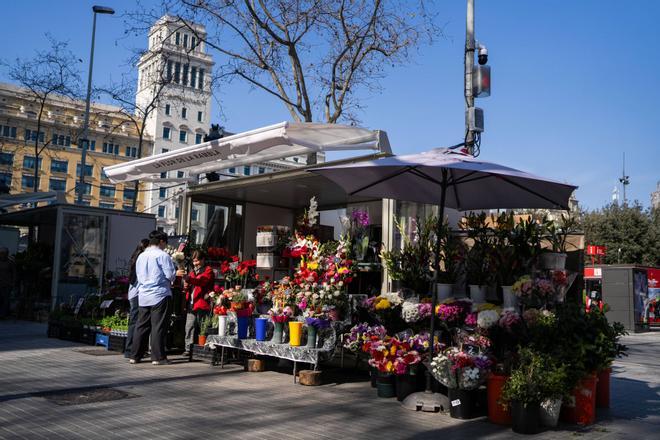 La Rambla'nın Sembol Çiçekçileri Geçici Olarak Plaça de Catalunya'ya Taşınıyor