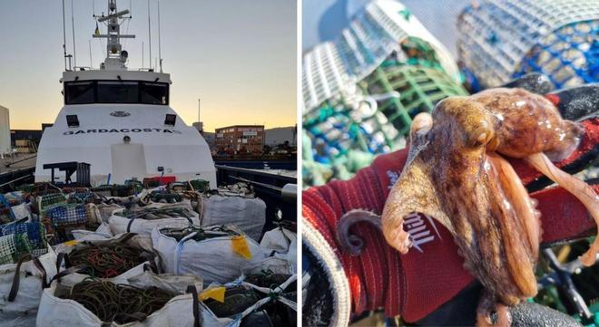 Galiçya Sahil Güvenliği'nden Kaçak Ahtapot Avcılarına Darbe: Yüzlerce Yasa Dışı