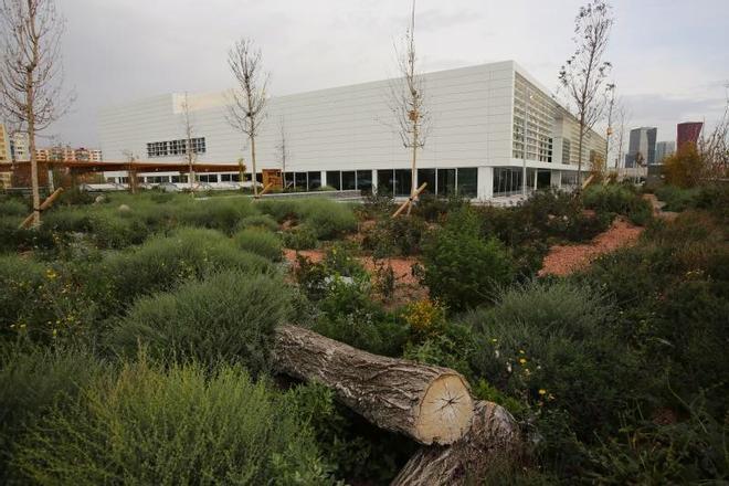 L'Hospitalet'ten Biyomedikal Geleceğe Dev Adım: Idibell Destekli Startup Kuluçkası