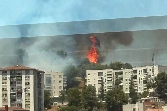 Gavà'da Orman Yangını: Katalonya İtfaiyesi Büyük Çabalar Harcıyor