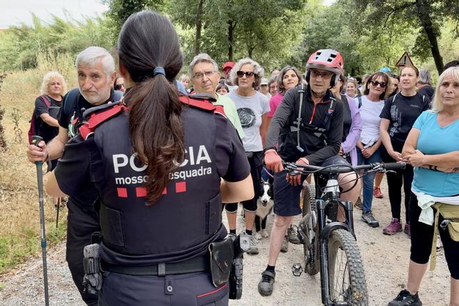 Collserola Doğa Parkı'nda Afrika Domuz Vebası Alarmı: Yaz Boyunca Erişim Kısıtlaması