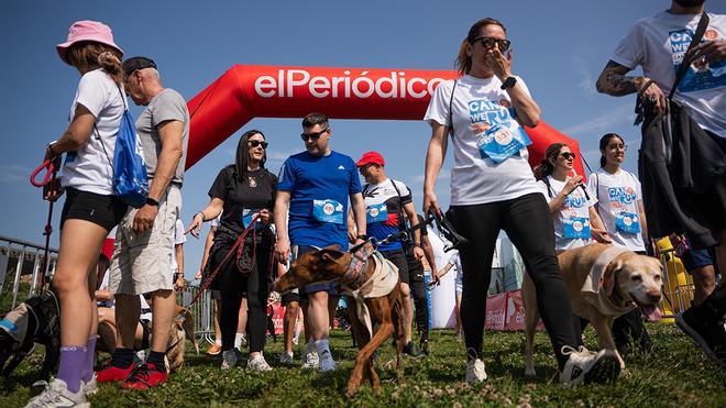 Santa Coloma'da Can We Run Heyecanı: İnsan ve Köpekler Parkuru Paylaşıyor!