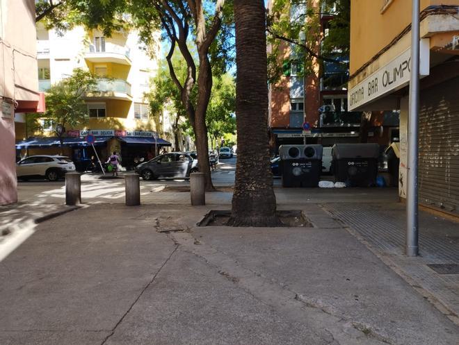 Palma'da Borç Kavgası Kanlı Bitti: 19 Yaşındaki Genç Öldürüldü