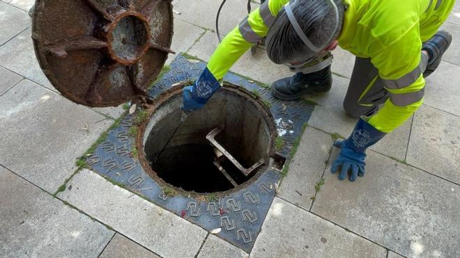 Mataró'da Hamam Böceği İstilasına Karşı Kanalizasyon Kuyularına Kapsamlı Müdahale
