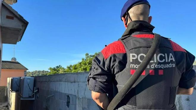 İspanya'da Sahte İkamet Kaydı Ağında 7 Tutuklama: 800 Euro'luk Dolandırıcılık