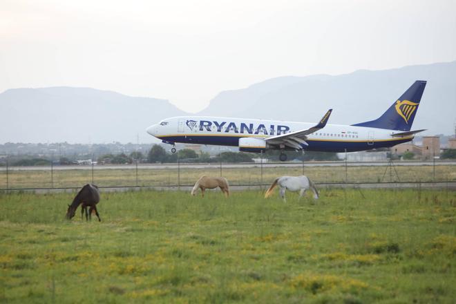 Ryanair Uçağında Palma Havalimanı'nda Yangın Alarmı: Yolcular Tahliye Edildi