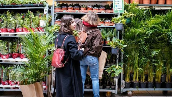 Barselona'da Bitki Tutkunlarına Müjde: 'Plantes Pour Tous' Uygun Fiyatlarla Geri Dönüyor