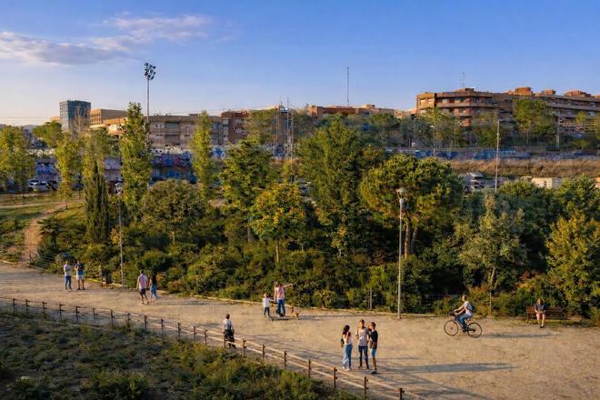 Barselona'dan İklim Direncine Hızlı Adım: Kent Ormanları Projesi Başladı