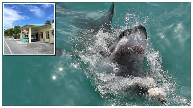 Maldivler Balayı Kabusu: İspanyol Damat Köpekbalığı Saldırısı Sonucu Yaşam Mücadelesi